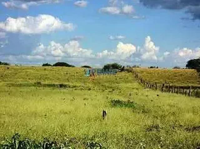 Sítio / Chácara para Venda em Triunfo/RS Zona Rural 2 Quartos