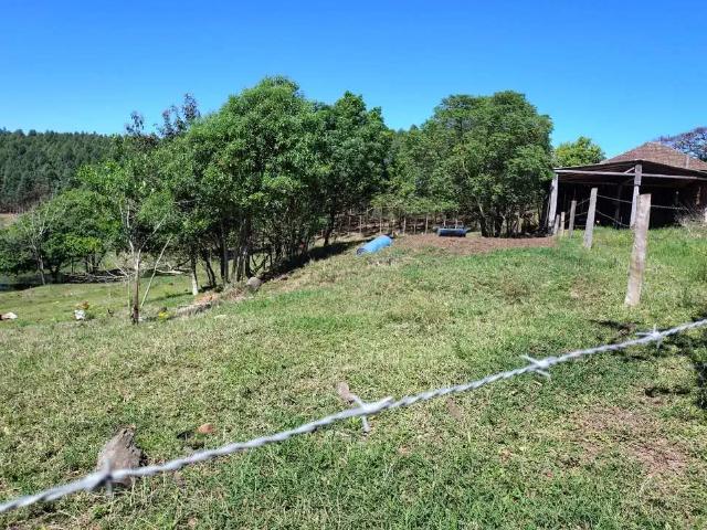 Sítio / Chácara para Venda em Triunfo/RS Zona Rural 2 Quartos