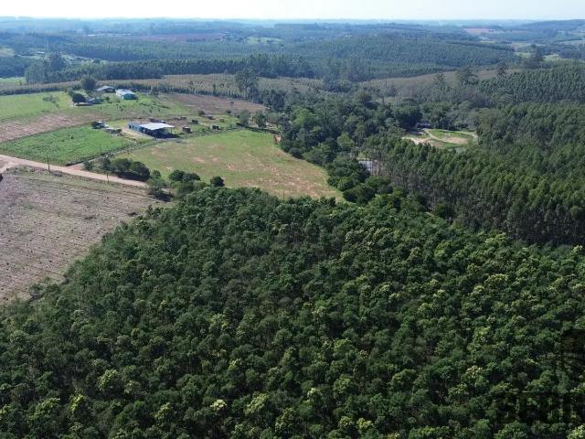 Sítio / Chácara para Venda em Triunfo/RS Zona Rural