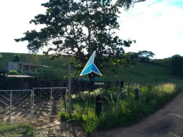 Sítio / Chácara para Venda em Tumiritinga/MG Centro 1 Quartos
