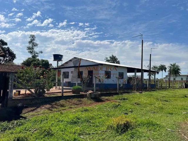 Sítio / Chácara para Venda em Umuarama/PR Zona II