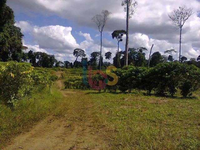 Sítio / Chácara para Venda em Una/BA Zona Rural