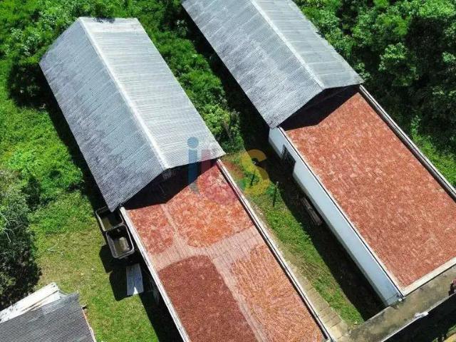 Sítio / Chácara para Venda em Una/BA Zona Rural