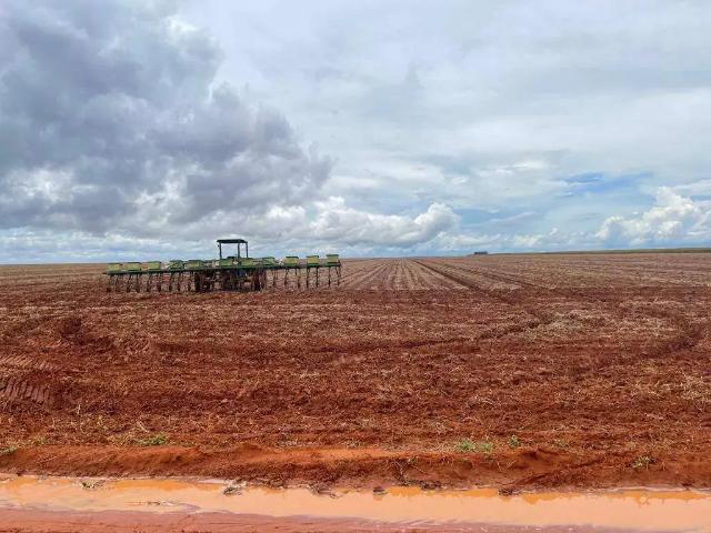 Sítio / Chácara para Venda em Unaí/MG Área Rural de Unaí