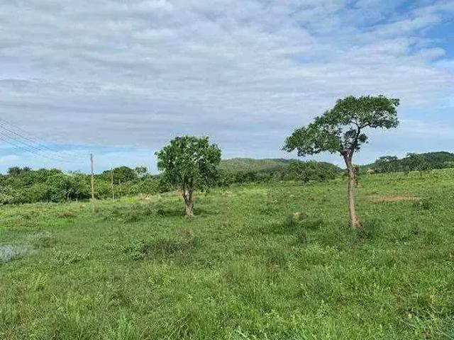 Sítio / Chácara para Venda em Unaí/MG Área Rural de Unaí