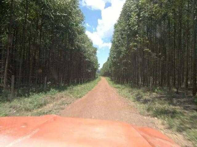 Sítio / Chácara para Venda em Unaí/MG Área Rural de Unaí 1 Quartos