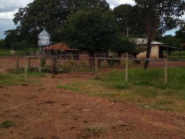 Sítio / Chácara para Venda em Unaí/MG Centro