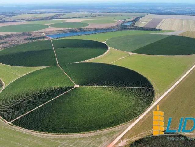 Sítio / Chácara para Venda em Unaí/MG Zona Rural