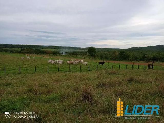 Sítio / Chácara para Venda em Unaí/MG Área Rural de Unaí