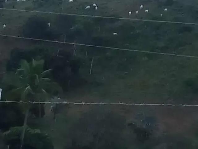 Sítio / Chácara para Venda em Ubaíra/BA Zona Rural 1 Quartos