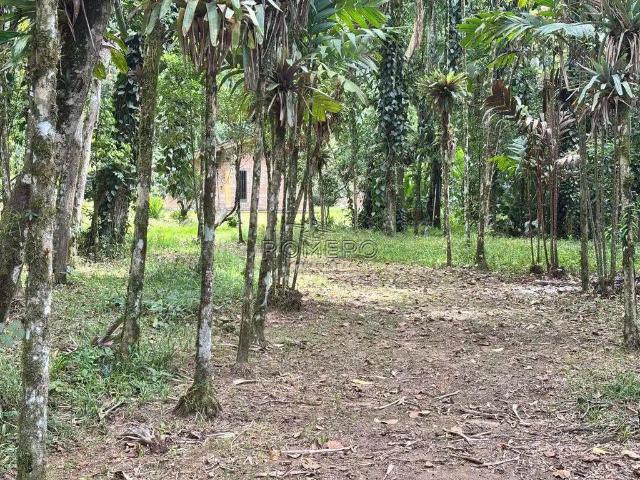 Sítio / Chácara para Venda em Ubatuba/SP Corcovado 6 Quartos