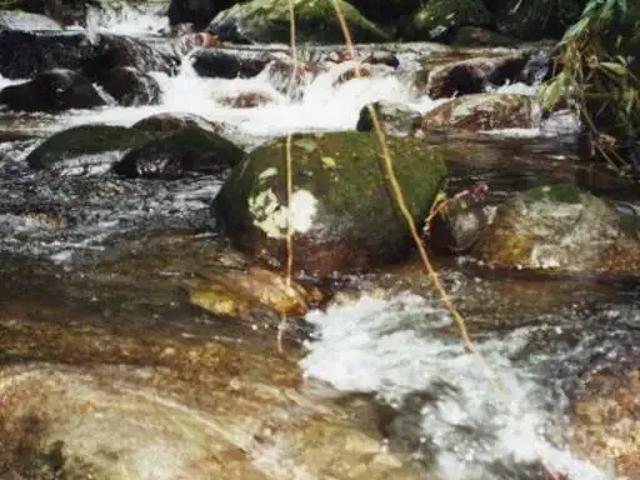 Sítio / Chácara para Venda em Ubatuba/SP Corcovado 3 Quartos