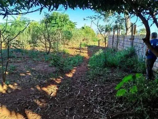 Sítio / Chácara para Venda em Uberaba/MG Chácaras Morada do Verde