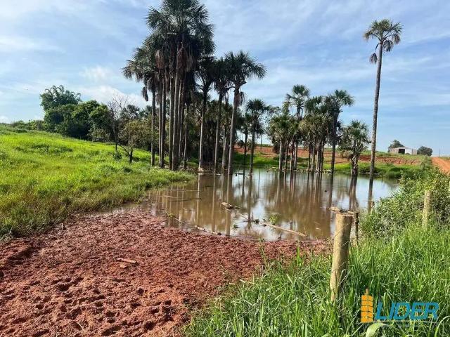 Sítio / Chácara para Venda em Uberlândia/MG Área Rural de Uberlândia
