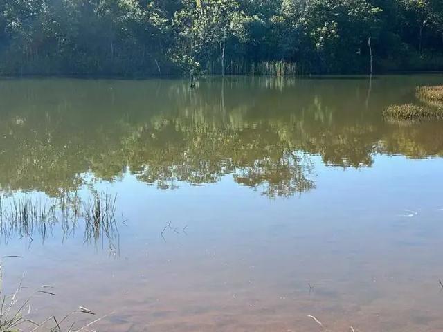 Sítio / Chácara para Venda em Uberlândia/MG Área Rural de Uberlândia