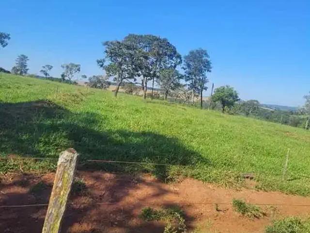 Sítio / Chácara para Venda em Uberlândia/MG Área Rural de Uberlândia