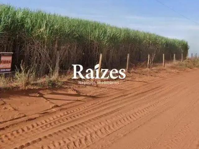 Sítio / Chácara para Venda em Uberlândia/MG Área Rural de Uberlândia