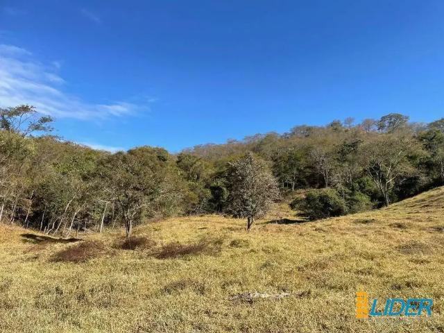 Sítio / Chácara para Venda em Uberlândia/MG Área Rural de Uberlândia