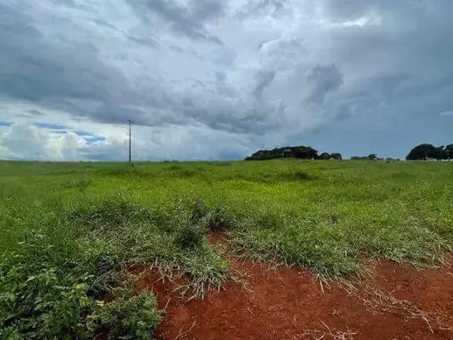 Sítio / Chácara para Venda em Uberlândia/MG Área Rural de Uberlândia