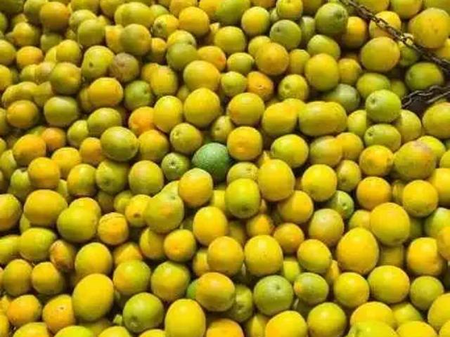 Sítio / Chácara para Venda em Uberlândia/MG Área Rural de Uberlândia