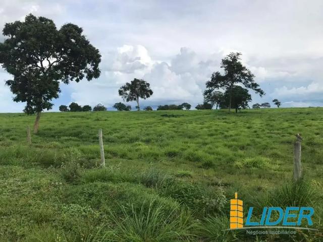Sítio / Chácara para Venda em Uberlândia/MG Área Rural de Uberlândia