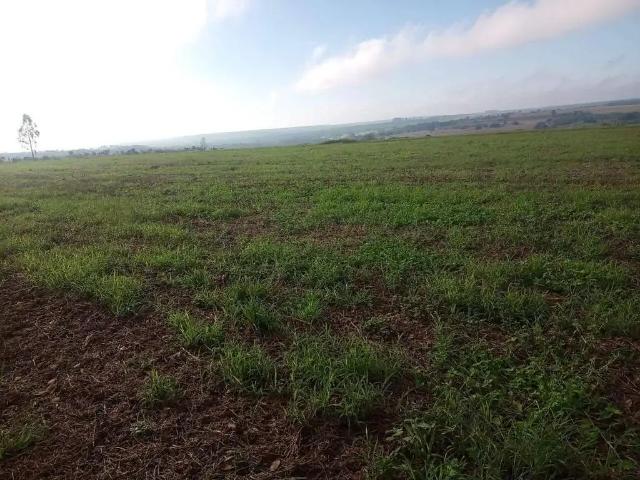 Sítio / Chácara para Venda em Uberlândia/MG Área Rural de Uberlândia