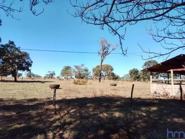 Sítio / Chácara para Venda em Uberlândia/MG Área Rural de Uberlândia