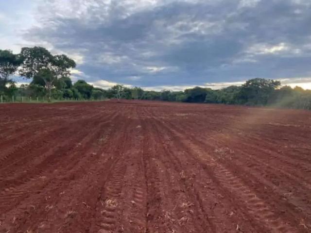 Sítio / Chácara para Venda em Uberlândia/MG Área Rural de Uberlândia