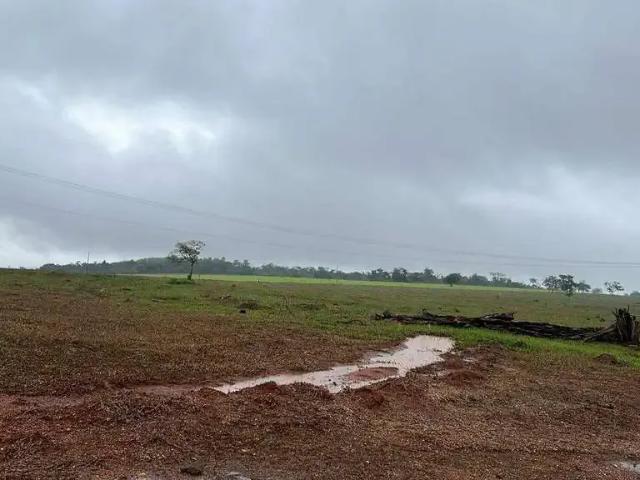 Sítio / Chácara para Venda em Uberlândia/MG Área Rural de Uberlândia