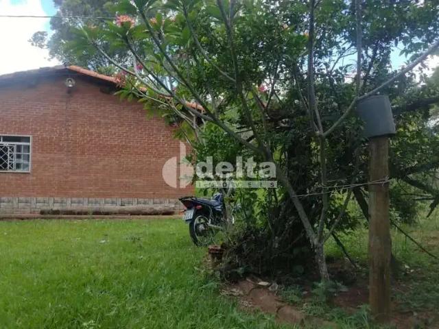 Sítio / Chácara para Venda em Uberlândia/MG Área Rural de Uberlândia 2 Quartos