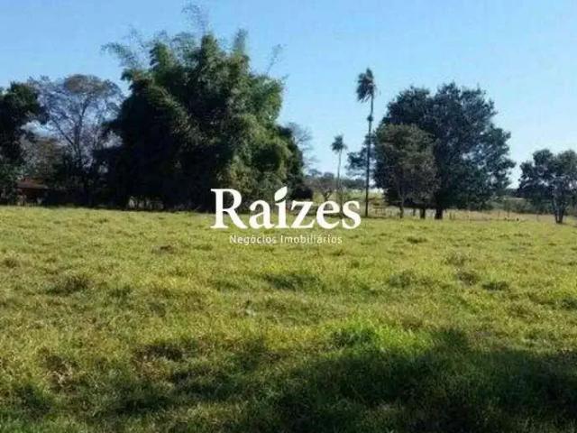 Sítio / Chácara para Venda em Uberlândia/MG Área Rural de Uberlândia 3 Quartos