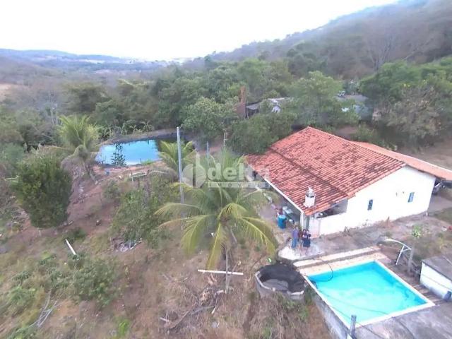 Sítio / Chácara para Venda em Uberlândia/MG Área Rural de Uberlândia 3 Quartos