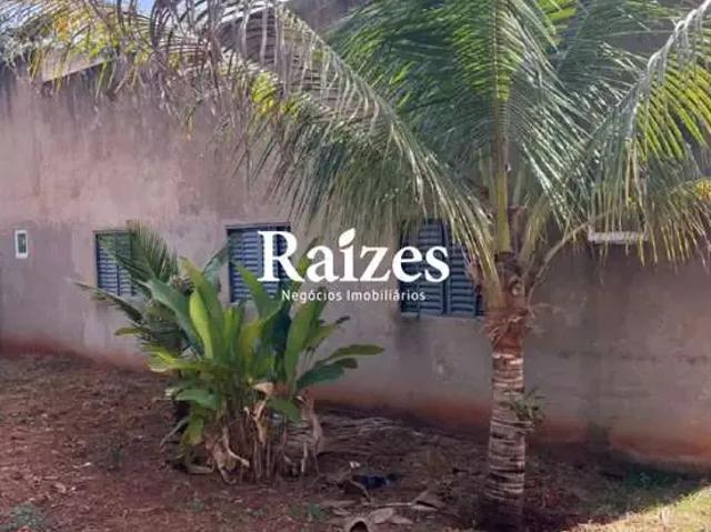 Sítio / Chácara para Venda em Uberlândia/MG Área Rural de Uberlândia 3 Quartos
