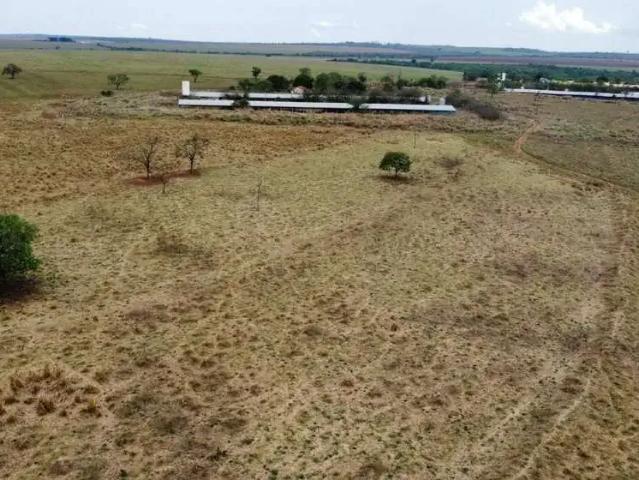 Sítio / Chácara para Venda em Uberlândia/MG Centro