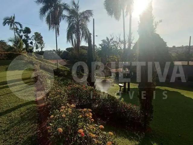 Sítio / Chácara para Venda em Uberlândia/MG Chácaras Tubalina e Quartel 4 Quartos