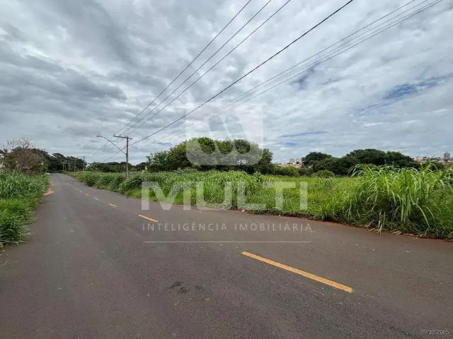 Sítio / Chácara para Venda em Uberlândia/MG Chácaras Tubalina 1 Quartos