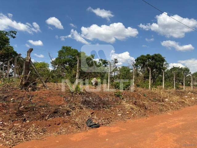 Sítio / Chácara para Venda em Uberlândia/MG Chácaras Uirapuru 1 Quartos