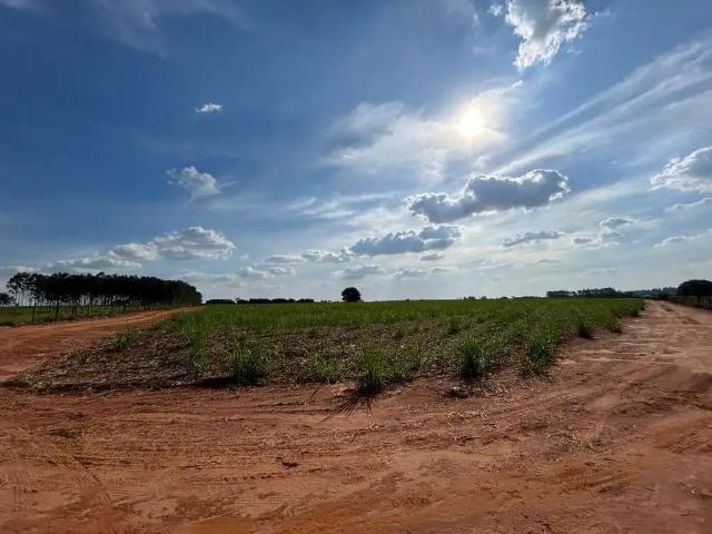 Sítio / Chácara para Venda em Uchoa/SP Área Rural de Uchoa 3 Quartos