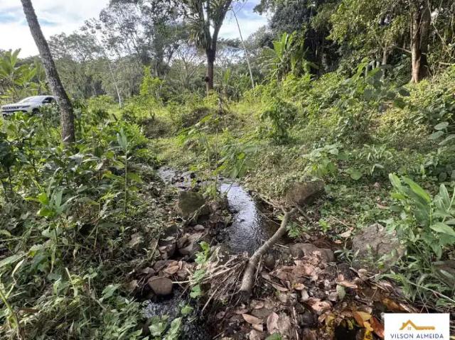 Sítio / Chácara para Venda em Uruçuca/BA Serra Grande 1 Quartos