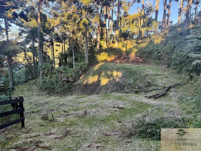 Sítio / Chácara para Venda em Urubici/SC Morro da Igreja