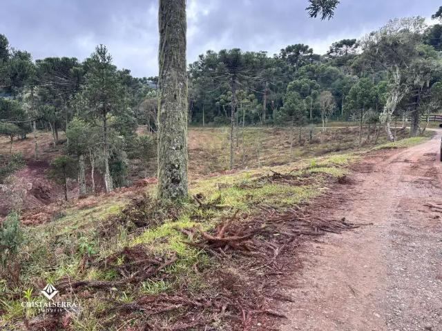 Sítio / Chácara para Venda em Urubici/SC Santa Tereza