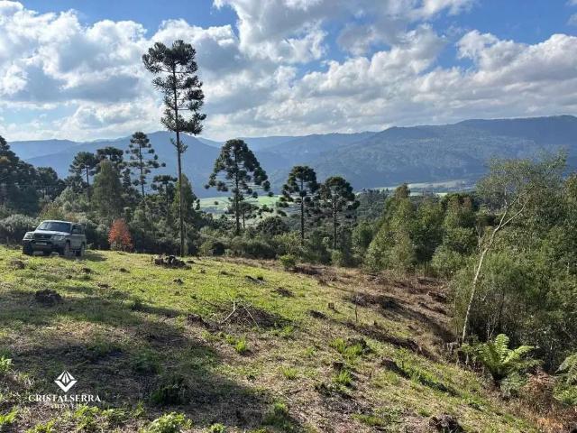 Sítio / Chácara para Venda em Urubici/SC Santa Tereza
