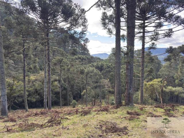 Sítio / Chácara para Venda em Urubici/SC Zona Rural 2 Quartos