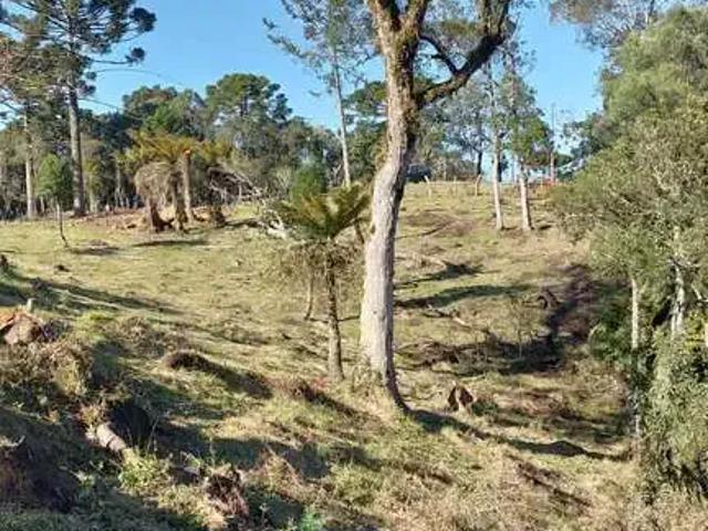Sítio / Chácara para Venda em Urubici/SC Zona Rural