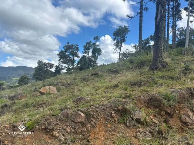 Sítio / Chácara para Venda em Urubici/SC Zona Rural