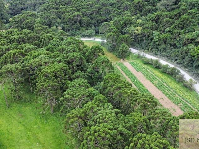 Sítio / Chácara para Venda em Urubici/SC Zona Rural