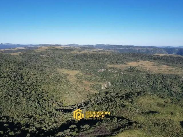 Sítio / Chácara para Venda em Urubici/SC Zona Rural