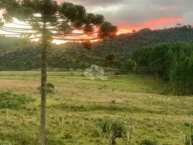 Sítio / Chácara para Venda em Urubici/SC Zona Rural