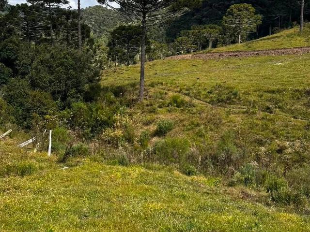 Sítio / Chácara para Venda em Urubici/SC Zona Rural