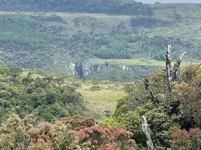 Sítio / Chácara para Venda em Urubici/SC Zona Rural